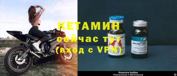 прущие грибы Краснотурьинск