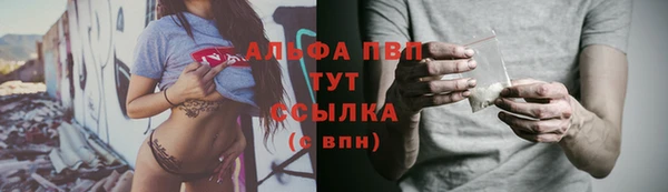прущие грибы Краснотурьинск