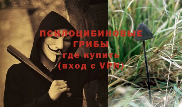 прущие грибы Краснотурьинск