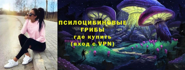 прущие грибы Краснотурьинск
